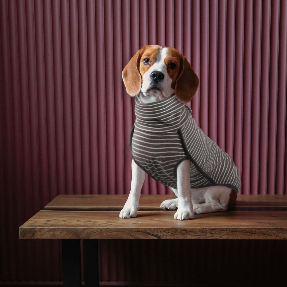 Dog Winter Coat Soft Pullover Pajamas, Stripe Pet Windproof Warm Cold Weather...