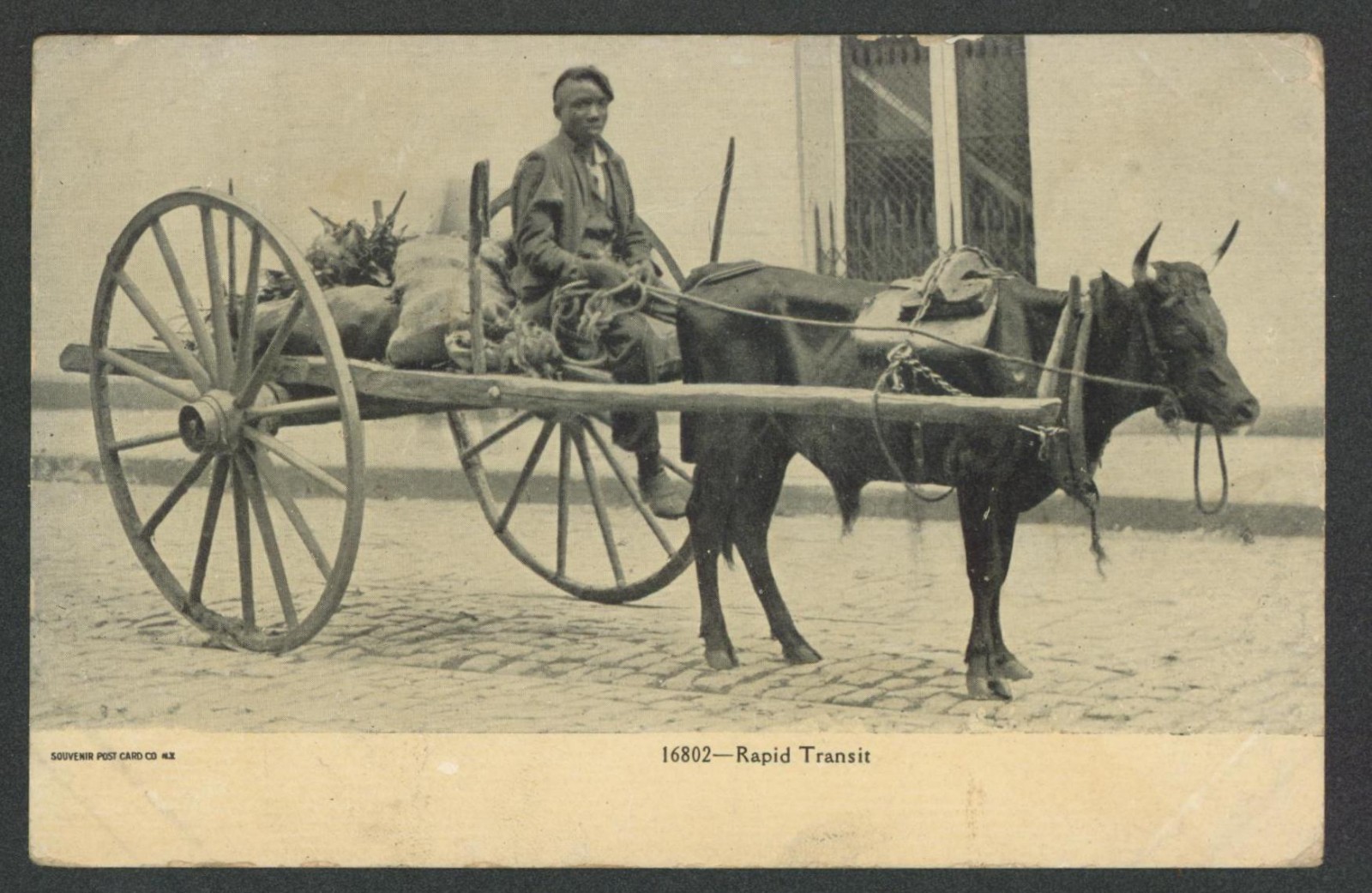 Studio pose of Father and two Daugthers, .M.V. LOMAX ~ ABBEVILLE ,S.C.