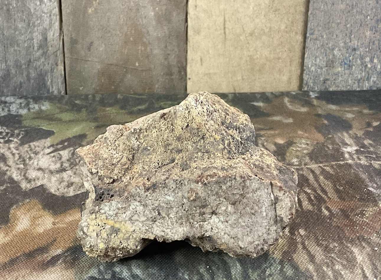 Missouri Druzy Quartz Fossilized Coral Stone Display