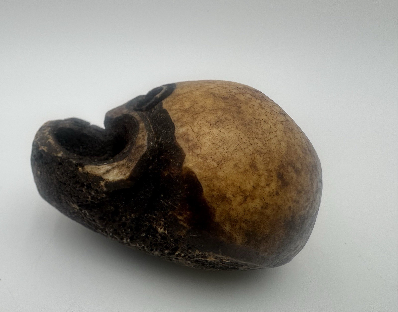 Oddity Hand Carved Tibetan Style Skull Bead Pendant Amulet Charm 2.5”