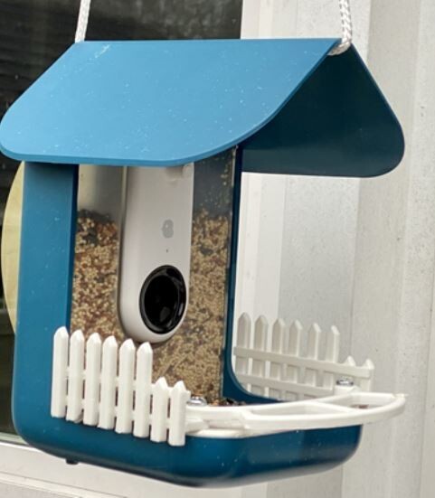 Bird Buddy Picket Fence (Pair)