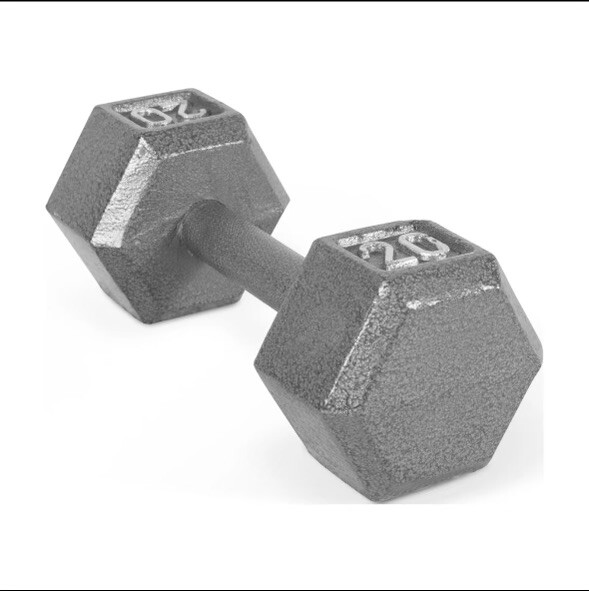 Barbell 20lb Cast Iron Hex Dumbbell, Single