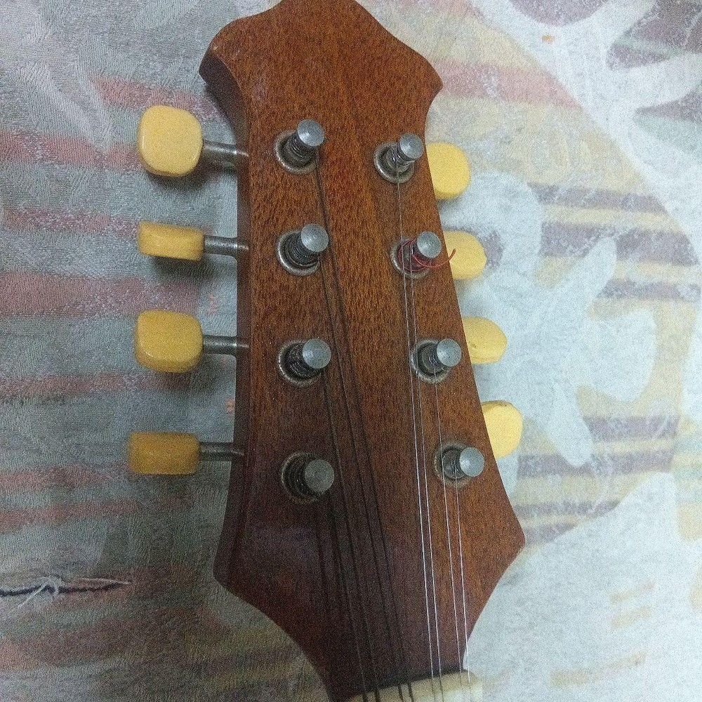 Mandolin body