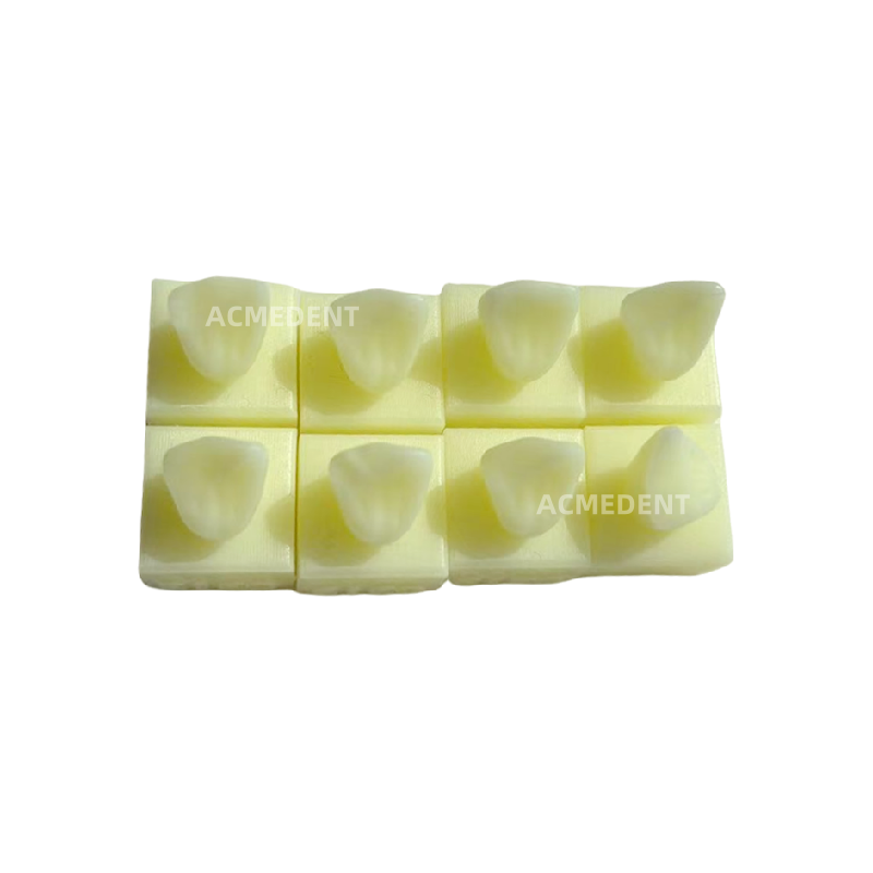 Dental Caries Decay Teeth Model Tooth Simulate Class Ⅱ Resin Restore Template