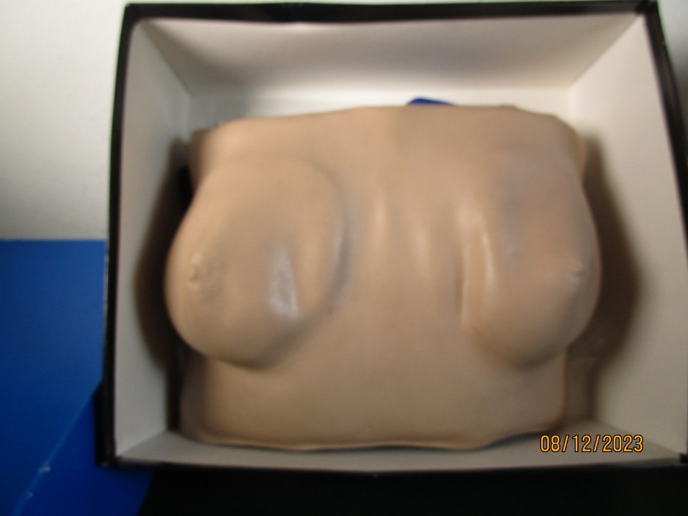 Life Form Simulator Self Breast Exam LF00984 Nurse Training