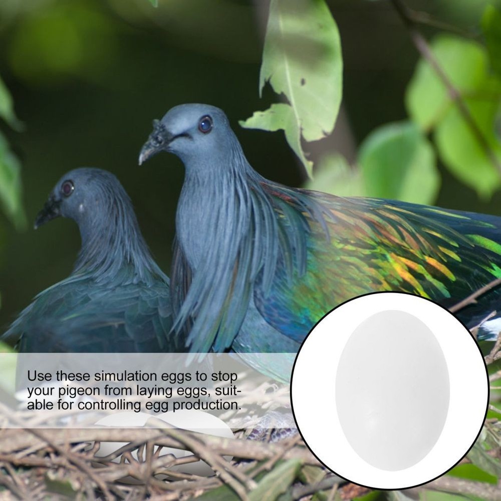 30Pcs Solid Plastic Eggs for Tricking Birds to Stop Laying Eggs