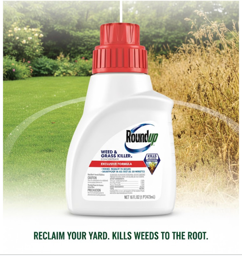 Roundup Weed & Grass Killer Concentrate Plus 16 oz - Kills to Root - Rainproof