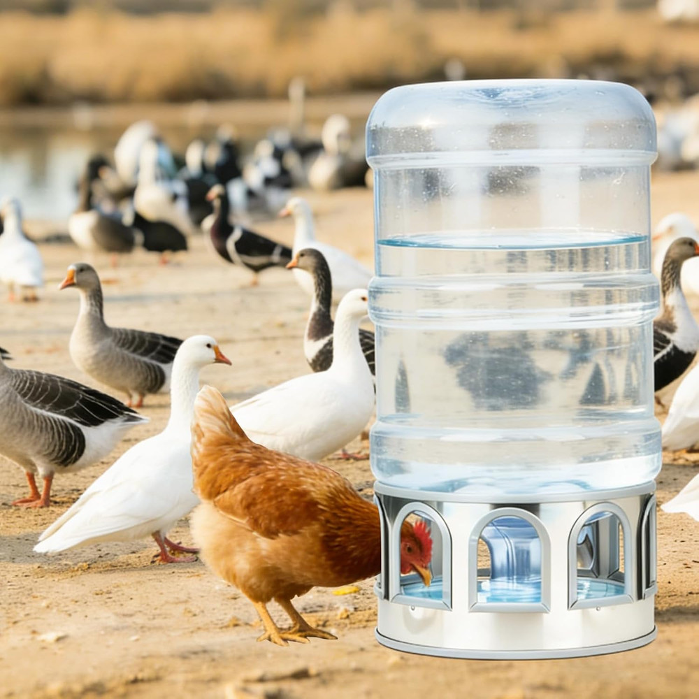 Automatic Chicken Waterer Base, Stainless Steel Poultry Auto Drinker Waterer Bas