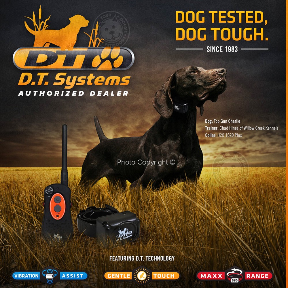 DT Systems H2O 1820 PLUS Expandable Dog Remote Trainer