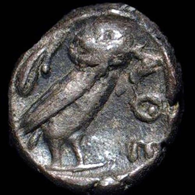 Sharp Forward Stereo Microscope 10X-30X