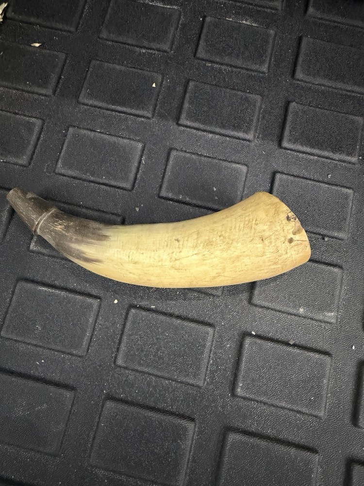 Vintage Powder Horn for Muzzleloader