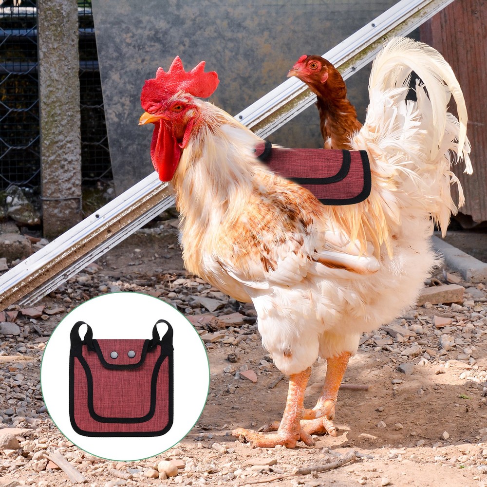 2-Pack Premium Chicken Saddle, Hens Saddle with Adjustable Strap [Red]