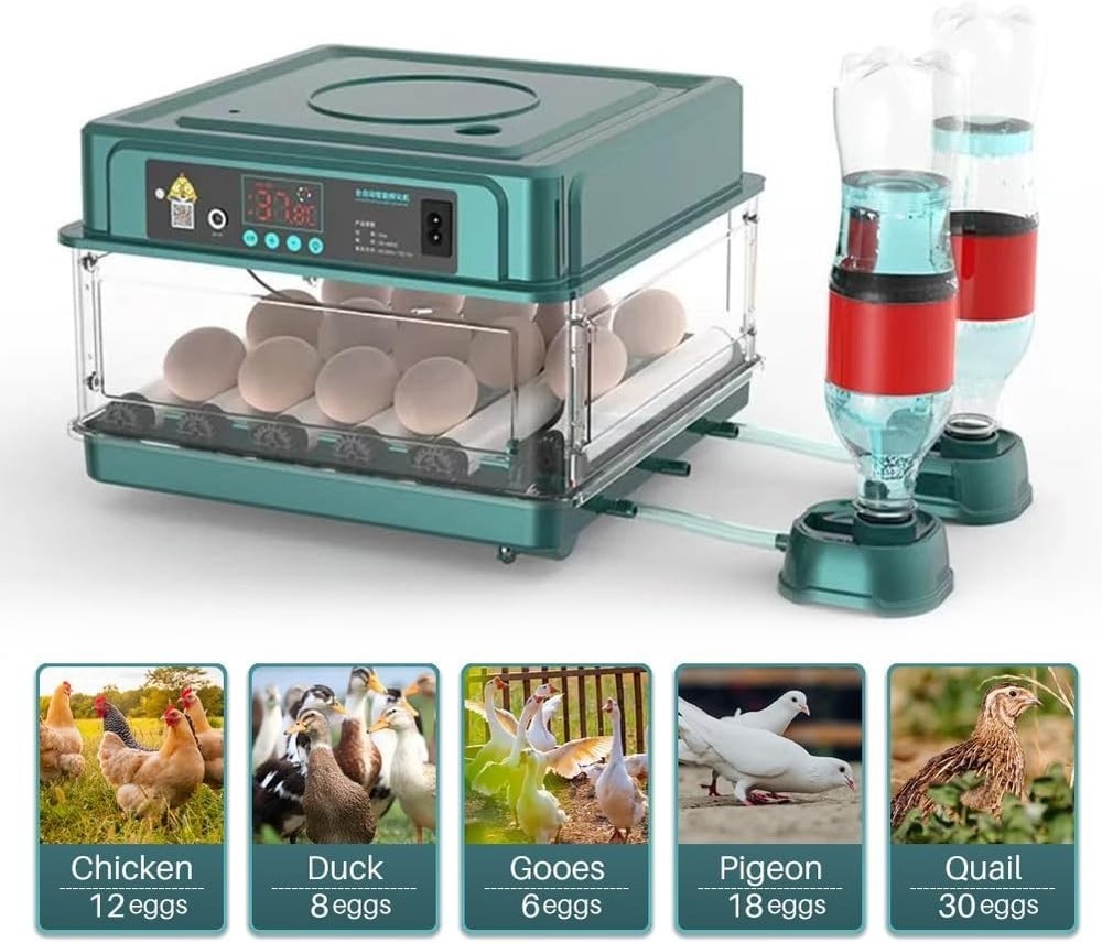 Incubators for Hatching Eggs, Egg Incubator with Automatic Egg Turning and Humid
