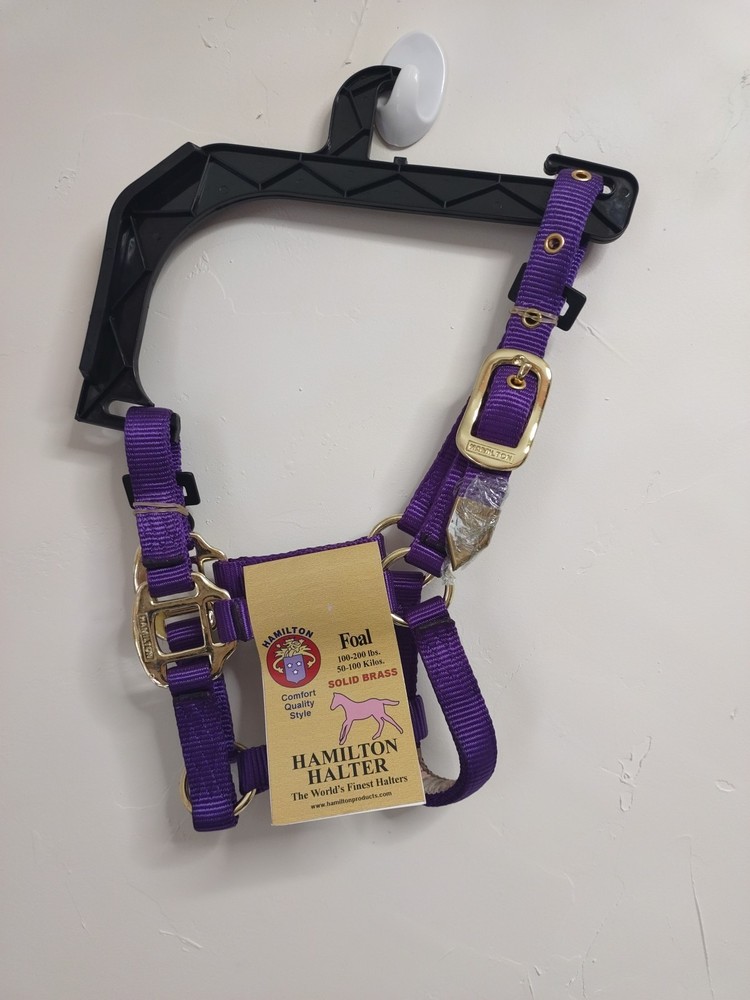 Adjustable Hamilton Halter FOAL 100-200lbs solid brass Hardware