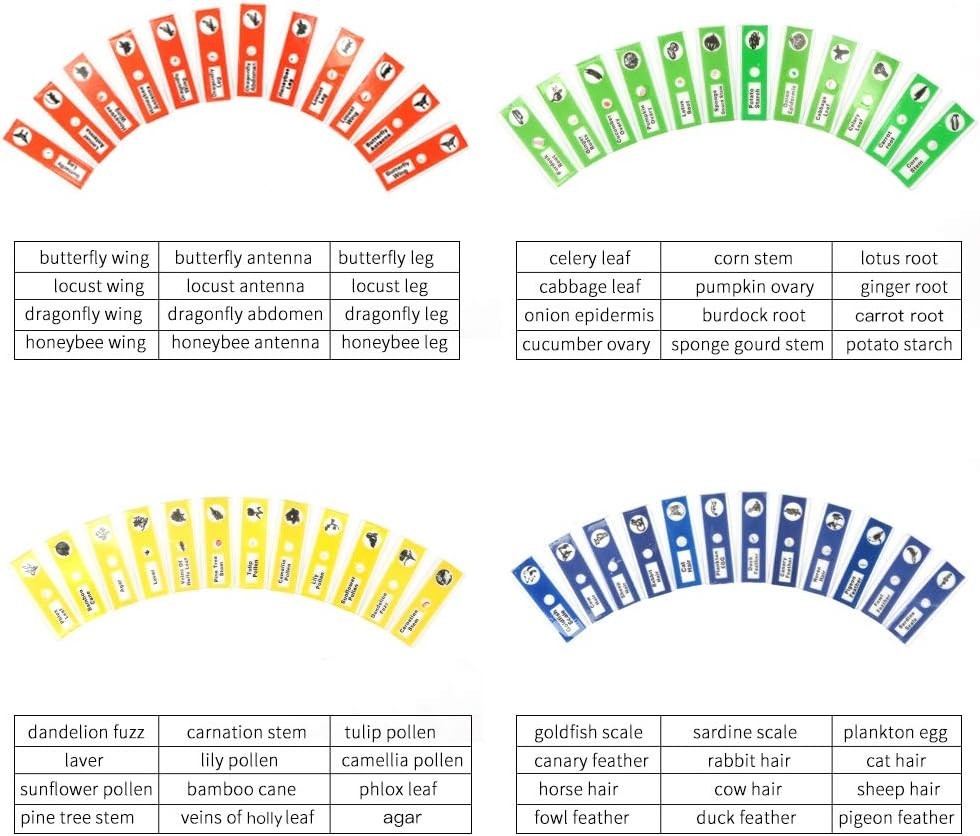 Educational Science Gift - 48 Prepared Microscope Slides for Kids’ Discovery
