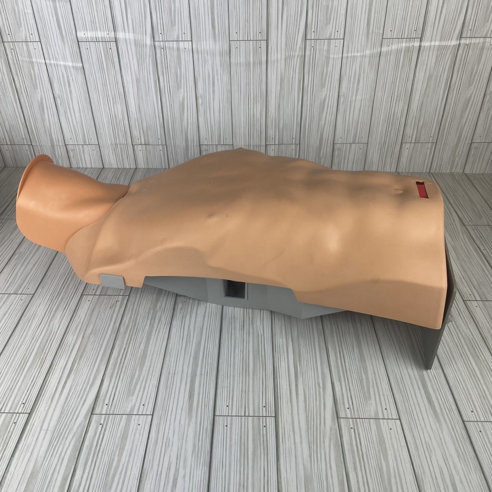 Ambu training CPR Multiman manikin With Hygienic System-TED