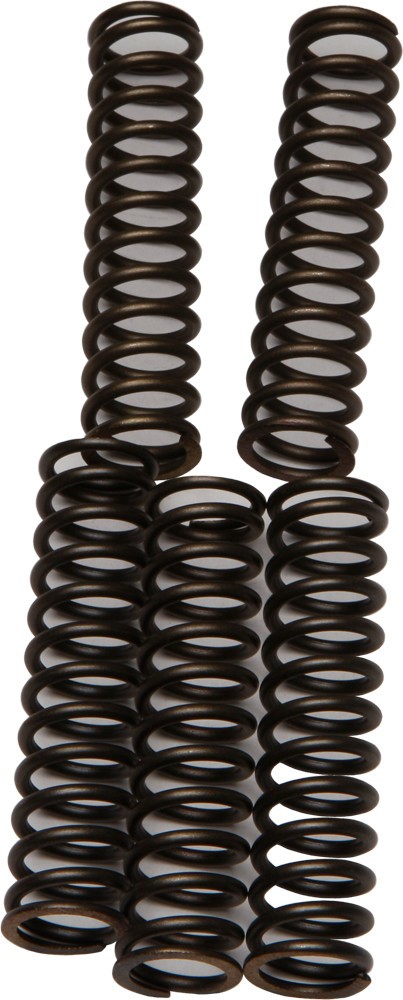 EBC CSK Clutch Spring Kit CSK110
