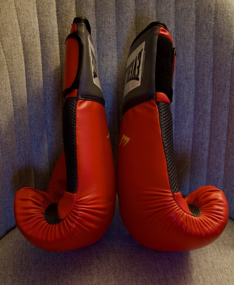 Everlast 1200009 Pro Style Training Gloves 16 Oz Red