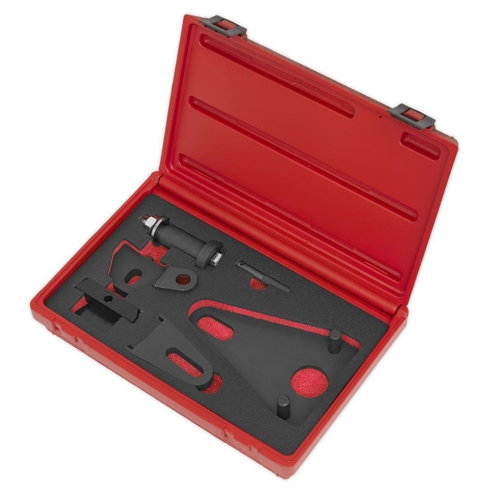 VSE5032 Front Pulley & Flywheel Locking Tool Set Chain Drive