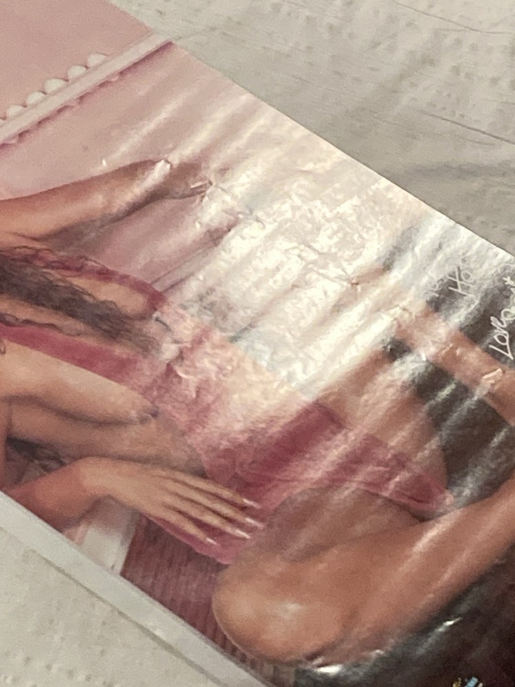 Sandi Korn Too Hot 1990 Poster Sexy Girl Large Breasts Pinup Starmakers M