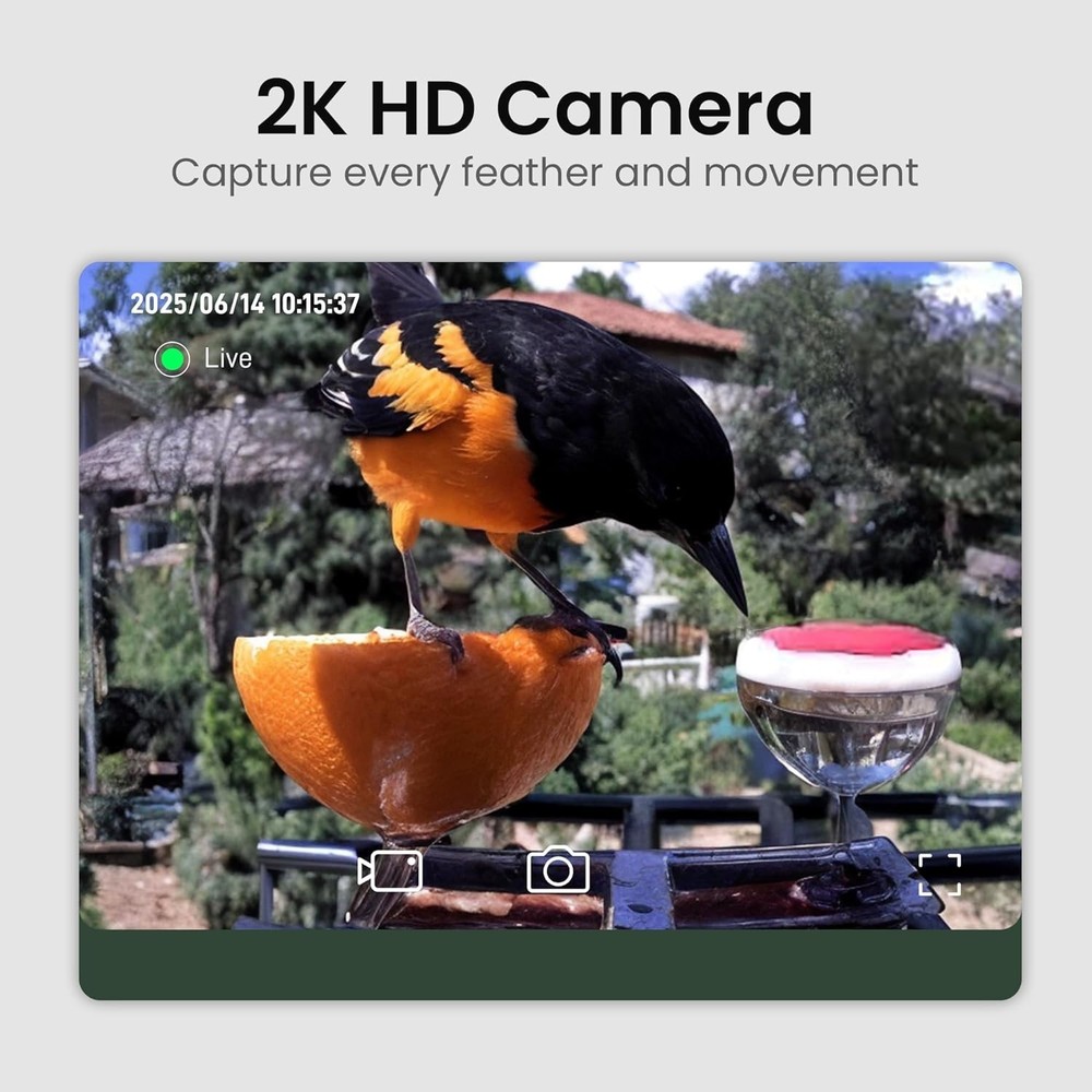 360° Adjustable Smart Bird Feeder with Camera & Instant Notifications - Red