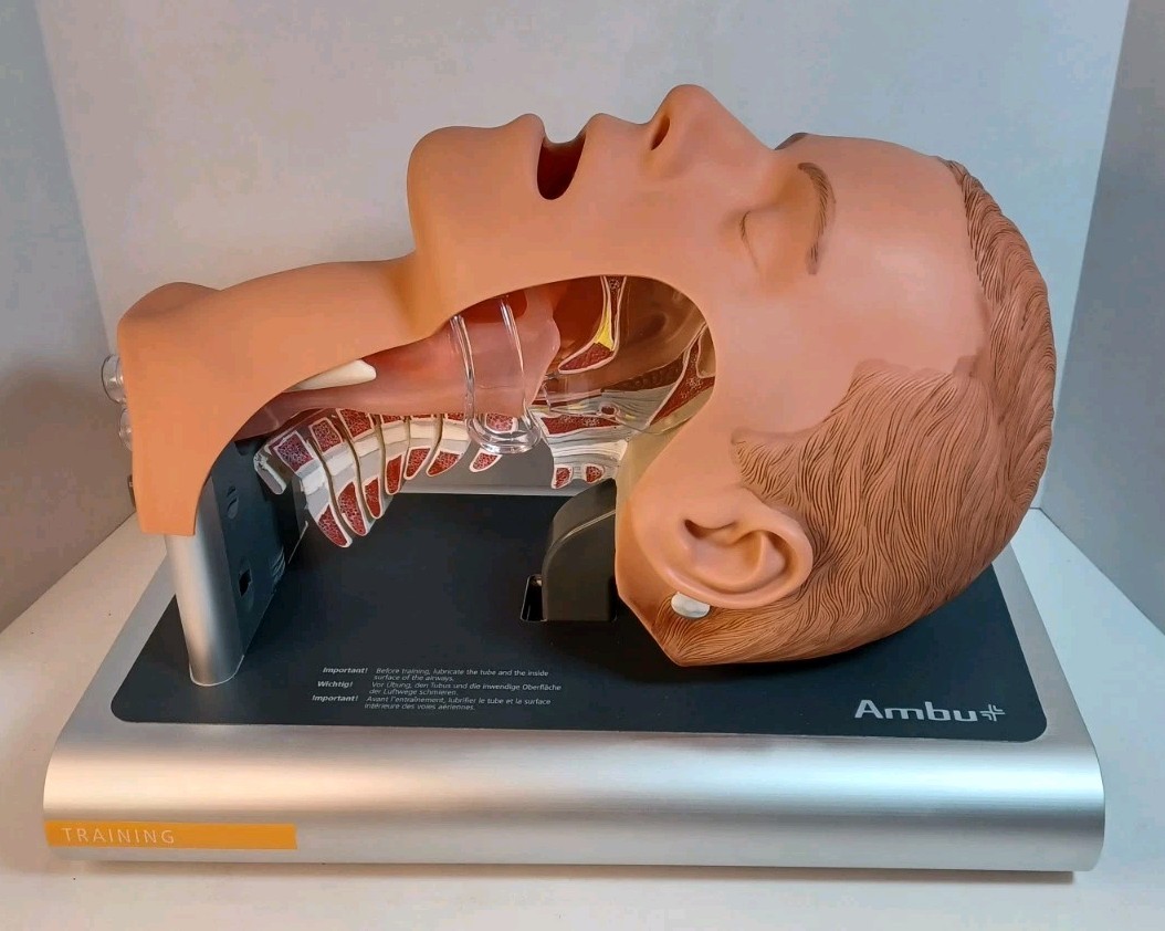 Ambu Intubation Airway Management Trainer – 186002000 - No Packaging