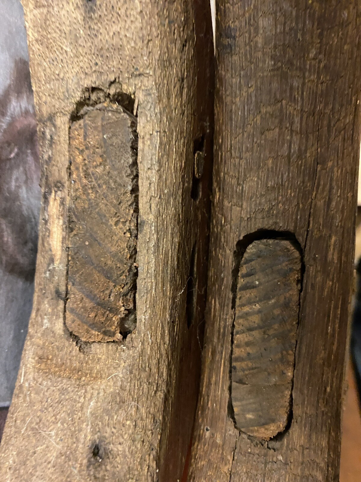 2Pair Antique 1800’s Wooden Handcrafted Medical Crutches Civil War Era Tiny Tim