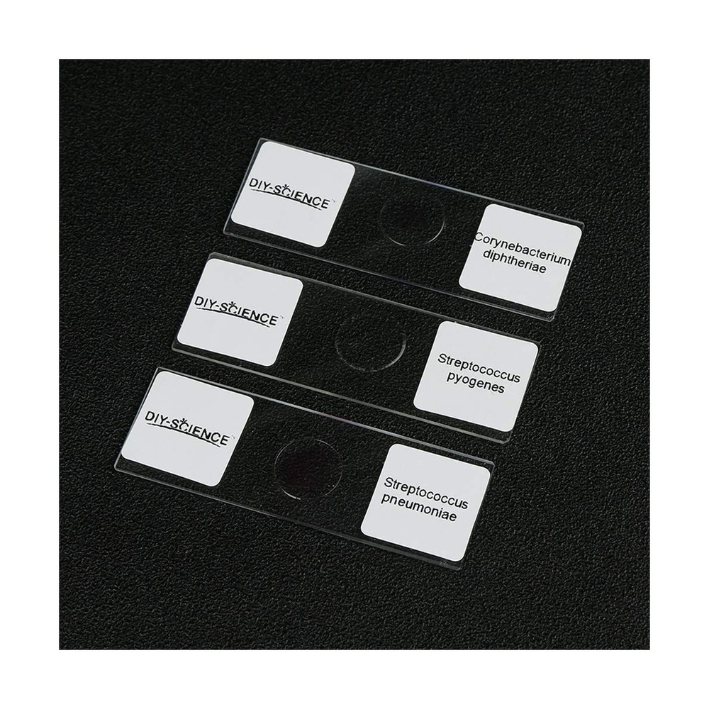 Prepared Bacterial Pathogens Microscope Slide Set, 12pcs Demonstrates The Bac...
