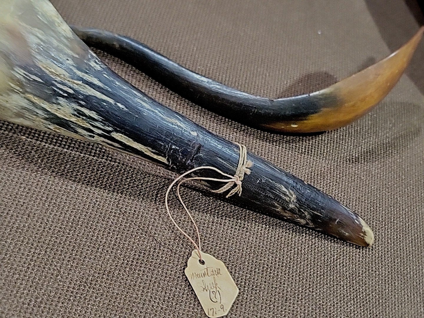 (2) Ahousaht Northwest Indian Inuit West Vancouver Canada B.C. Sheep Horn Spoons