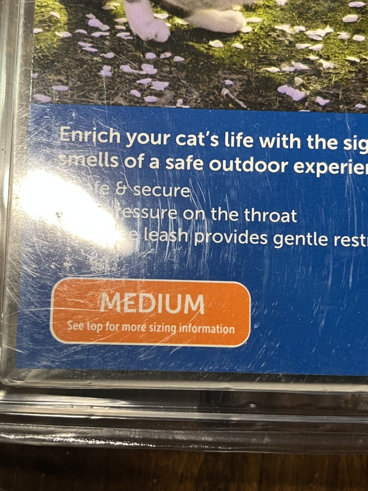 PetSafe Come With Me Kitty Cat Harness & Bungee Leash SZ Medium Black/Silver NEW