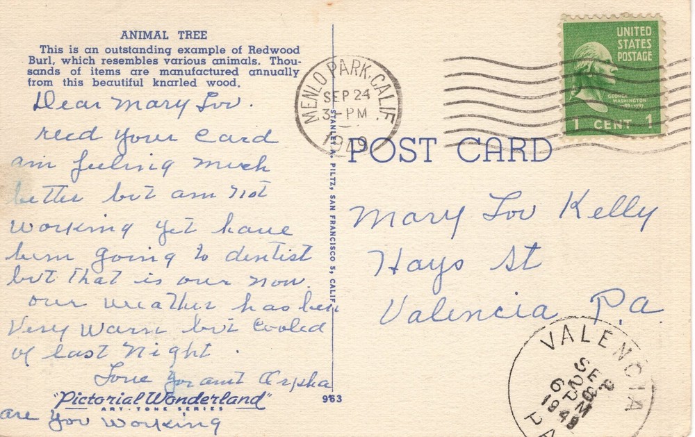 "ANIMAL TREE" BIG BASIN, CA - PC7358