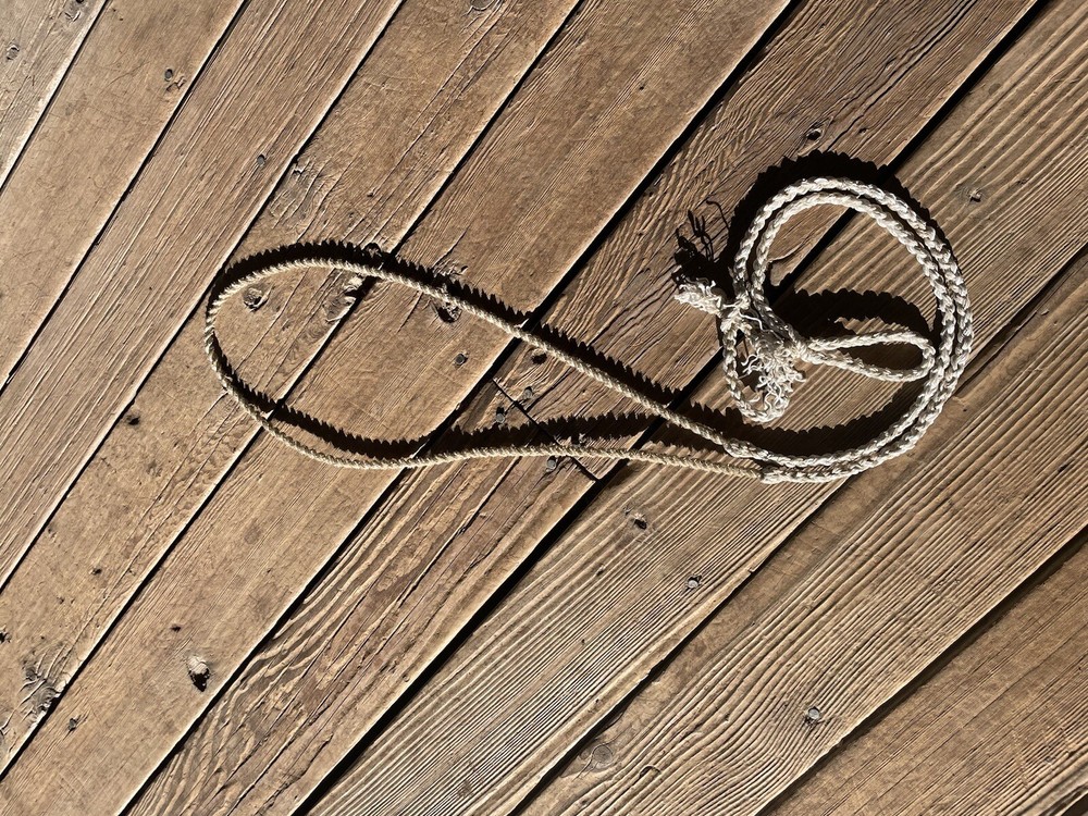 8' 2”Braided Two Strand TeamRope-  Roping Reins - LightBlue