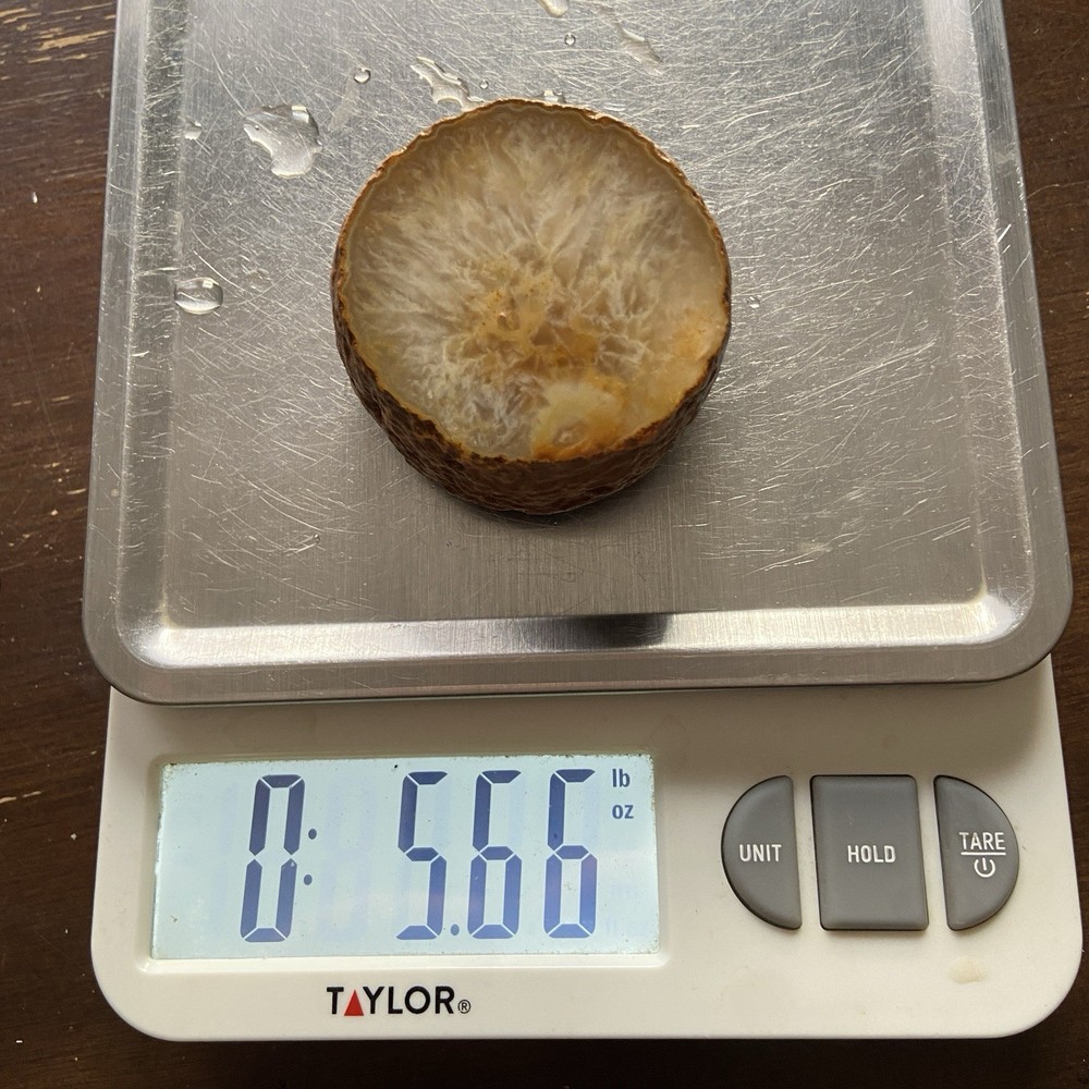 Raw Quartz Nodule Rough Stone 5.66 Oz