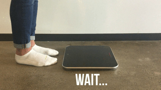 Brand New Digital Bathroom Scale (Omada)