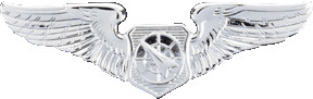 Air Force Basic Air Battle Manager Badge Mirror Finish