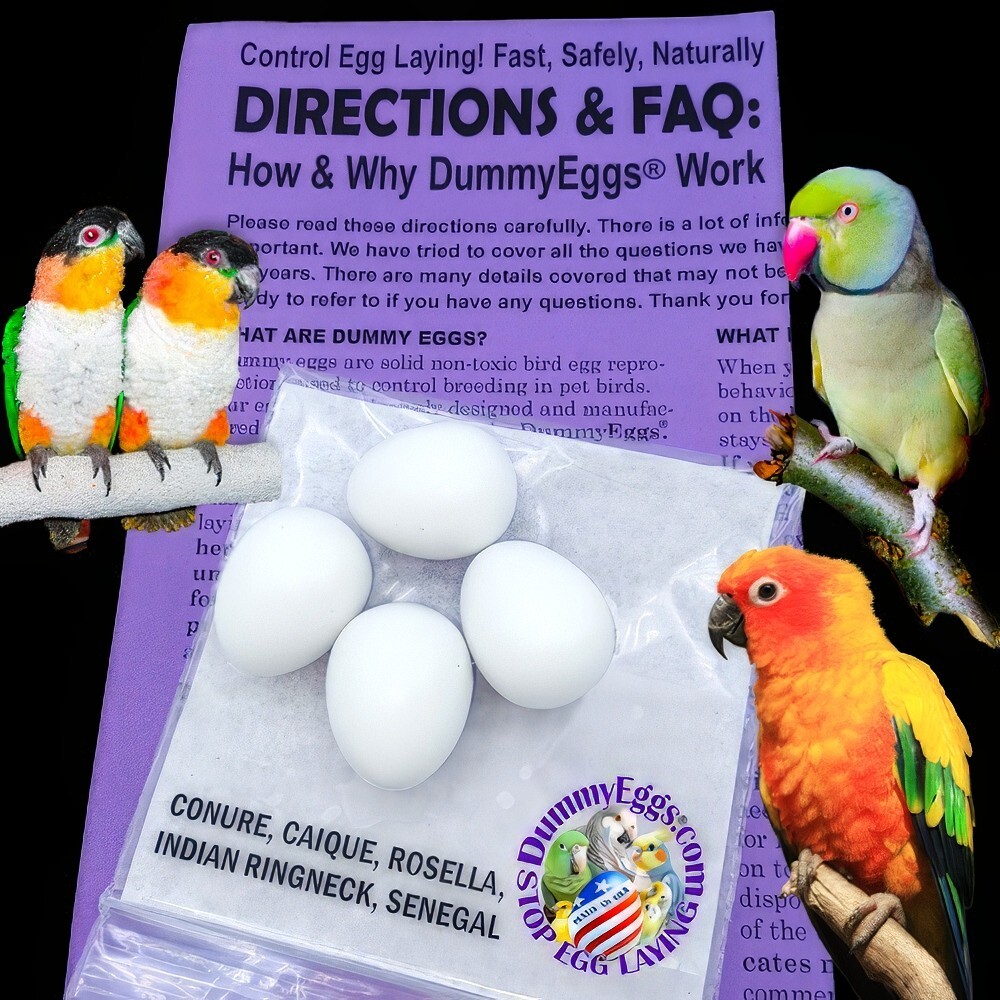 Dummy Eggs Plastic Small Parrot BIRD EGGS STOP LAYING! Conure Caique 4 Solid USA