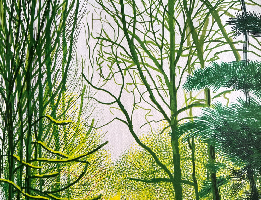 David Hockney Lithograph COA Original Signed Op Numbered Limited &