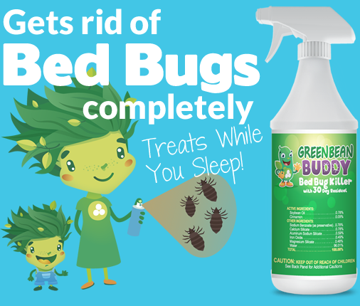 Mold Stain Prevention and Encapsulate, Safe Shield 3 Oz