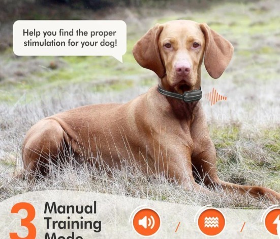 Dokoo Training Leash Shock Collar Remote 1600FT Range IP67 Waterproof 3 Modes