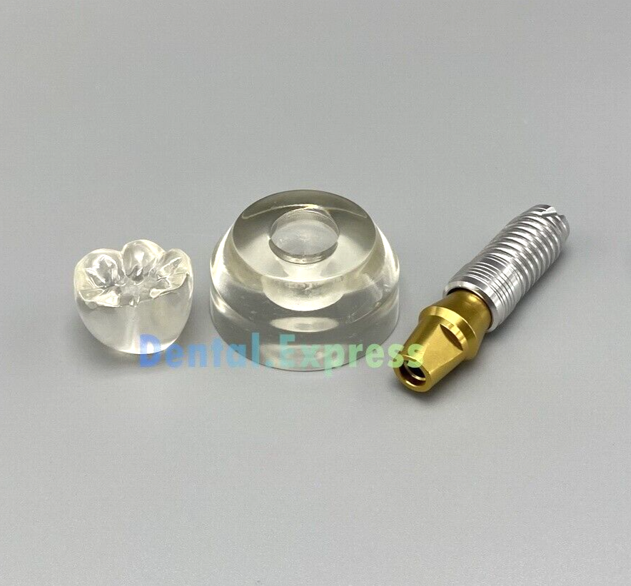 M2020 Dental Implant Model Demonstration Teeth Study Teaching Models Detachable