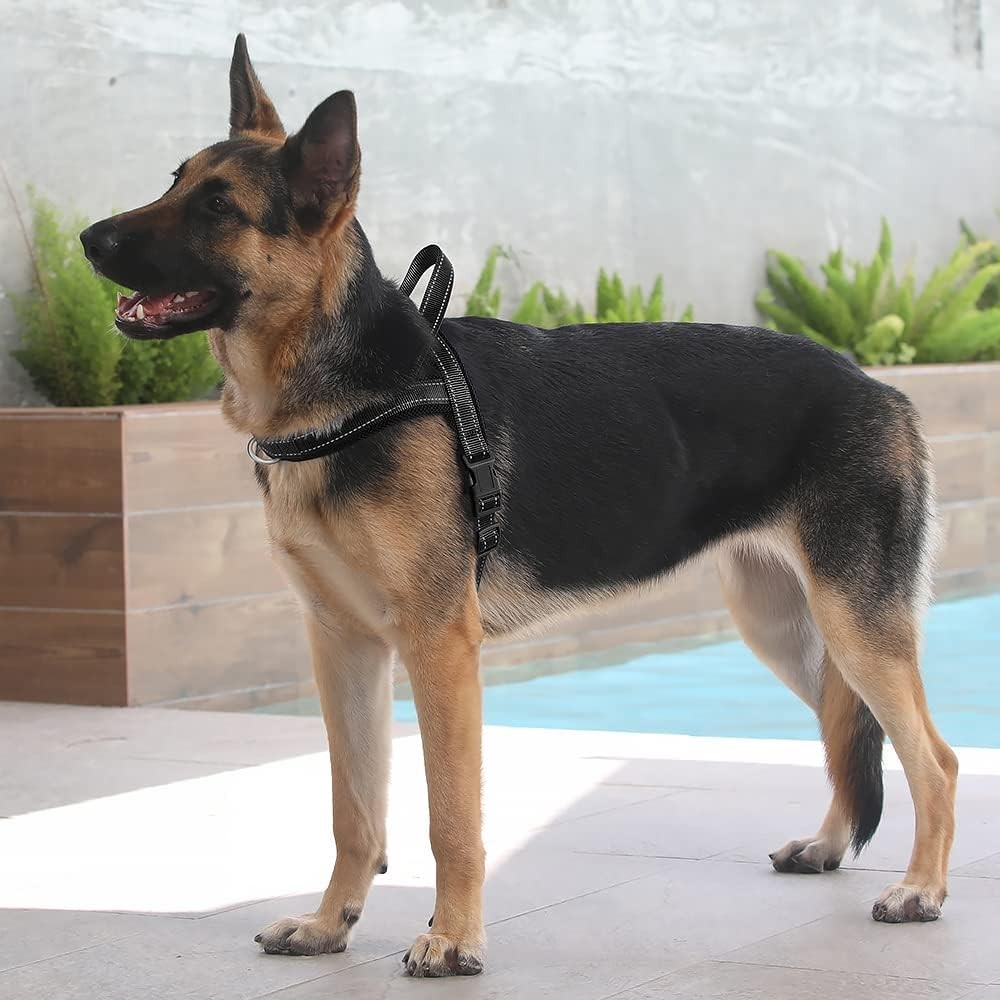 No Pull Dog Harness W/ Breathable Mesh Padded Adjustable Reflective Escape Proof