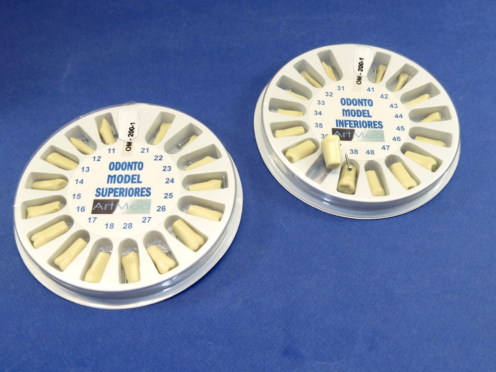 Typodont Ivorine Replacement Teeth Kit Model 200G Lower + Upper Set Screw 11-48