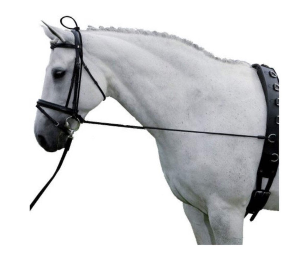 QHP elastic bungee horse neck stretcher. QHP