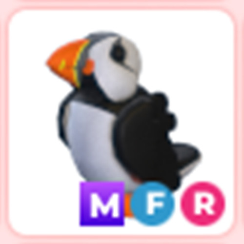 Puffin Mega - Adopt right now