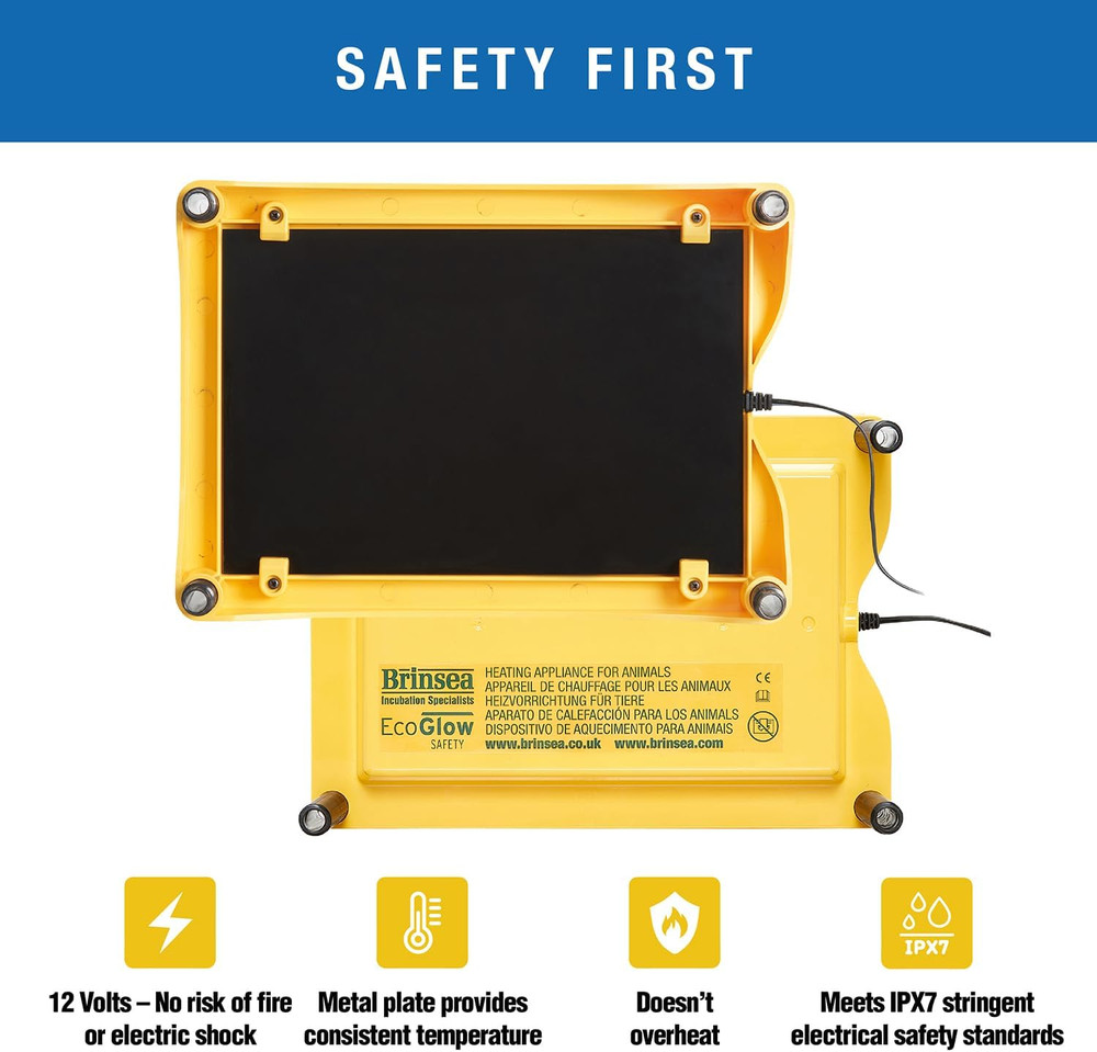 Ecoglow Safety 600 Chick or Duckling Brooder, Adjustable Height & Angle Brooder