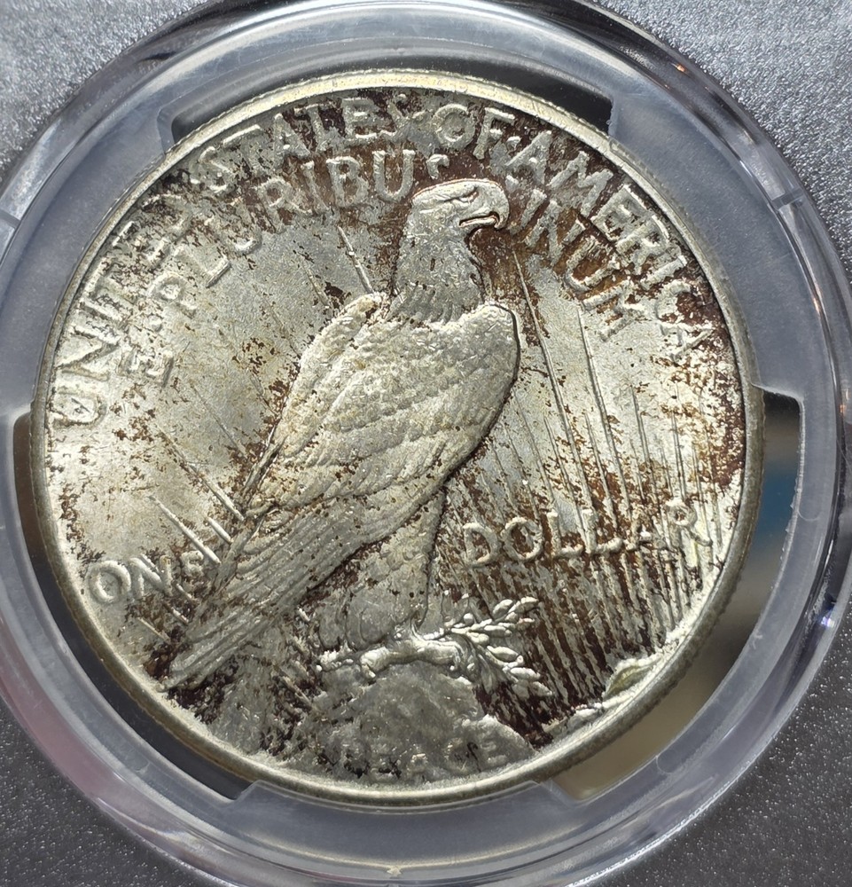 1925 PCGS MS64 Peace Silver Dollar - Toned