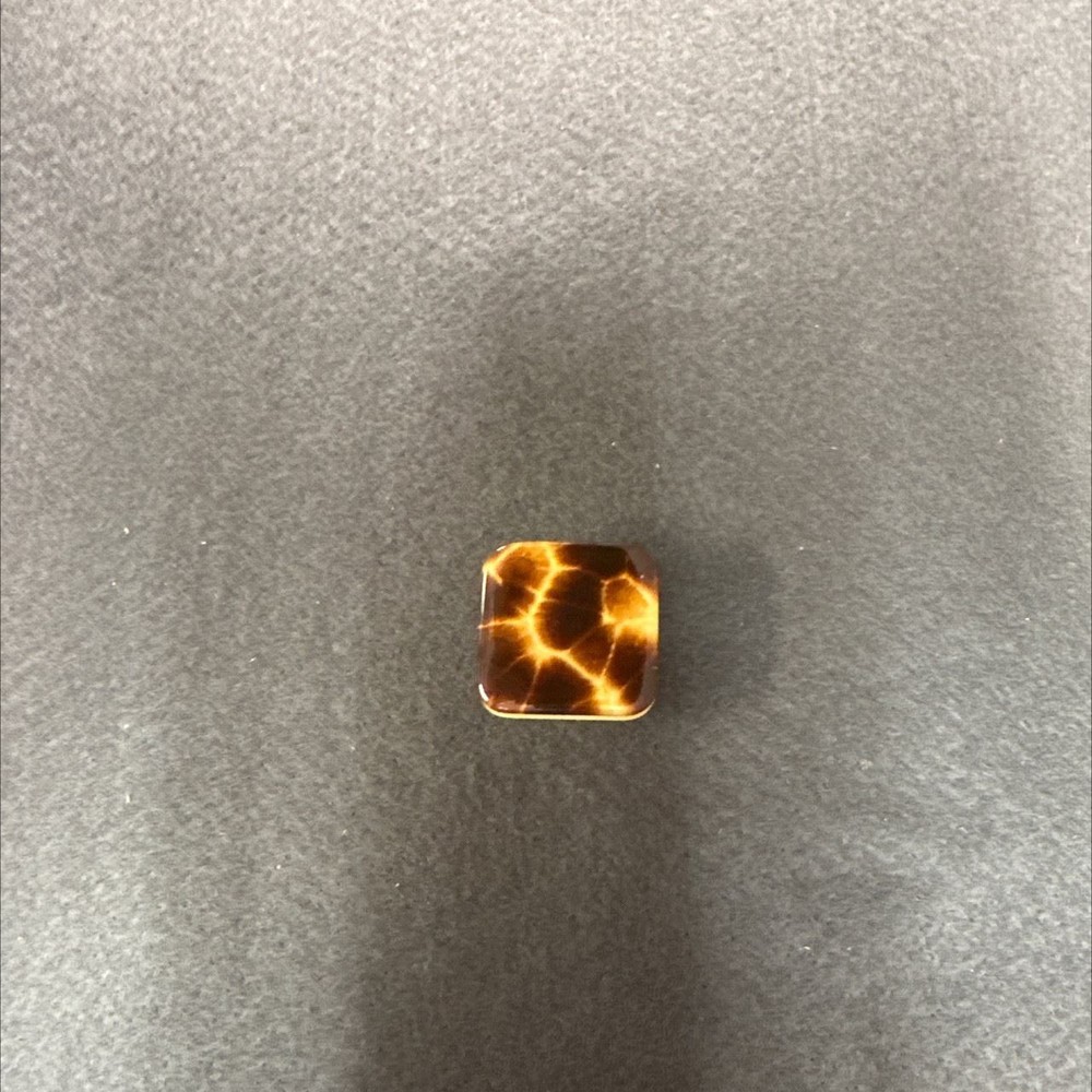 1-3/8" Tortoise Safari Knob