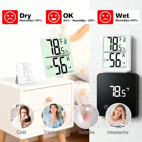 Digital Indoor Thermometer Hygrometer AAA