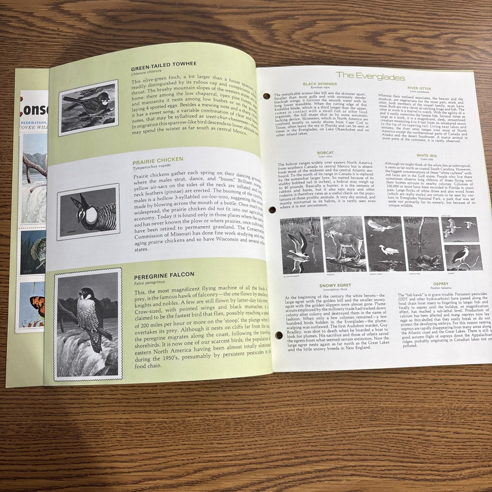 National Wildlife Federation Conservation Stamp Album 1973 Unused Full Stamps