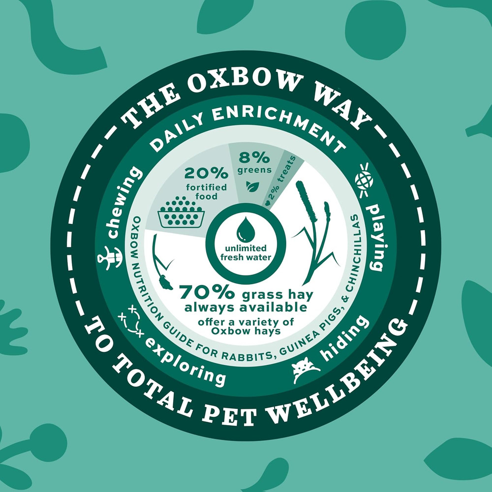 Orchard Grass Hay for Small Pets – 40 Oz Bag